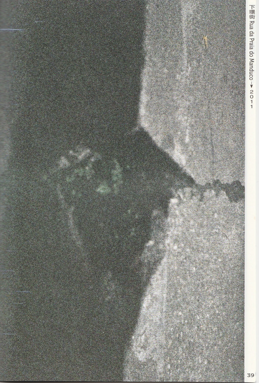 我不知道還能為下環街做什麼