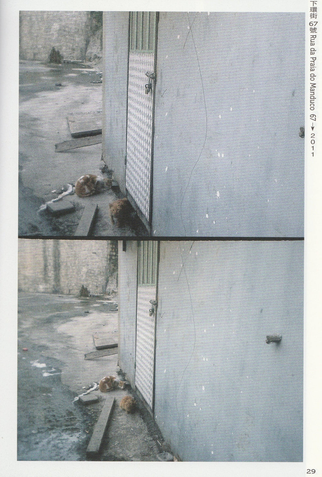 我不知道還能為下環街做什麼