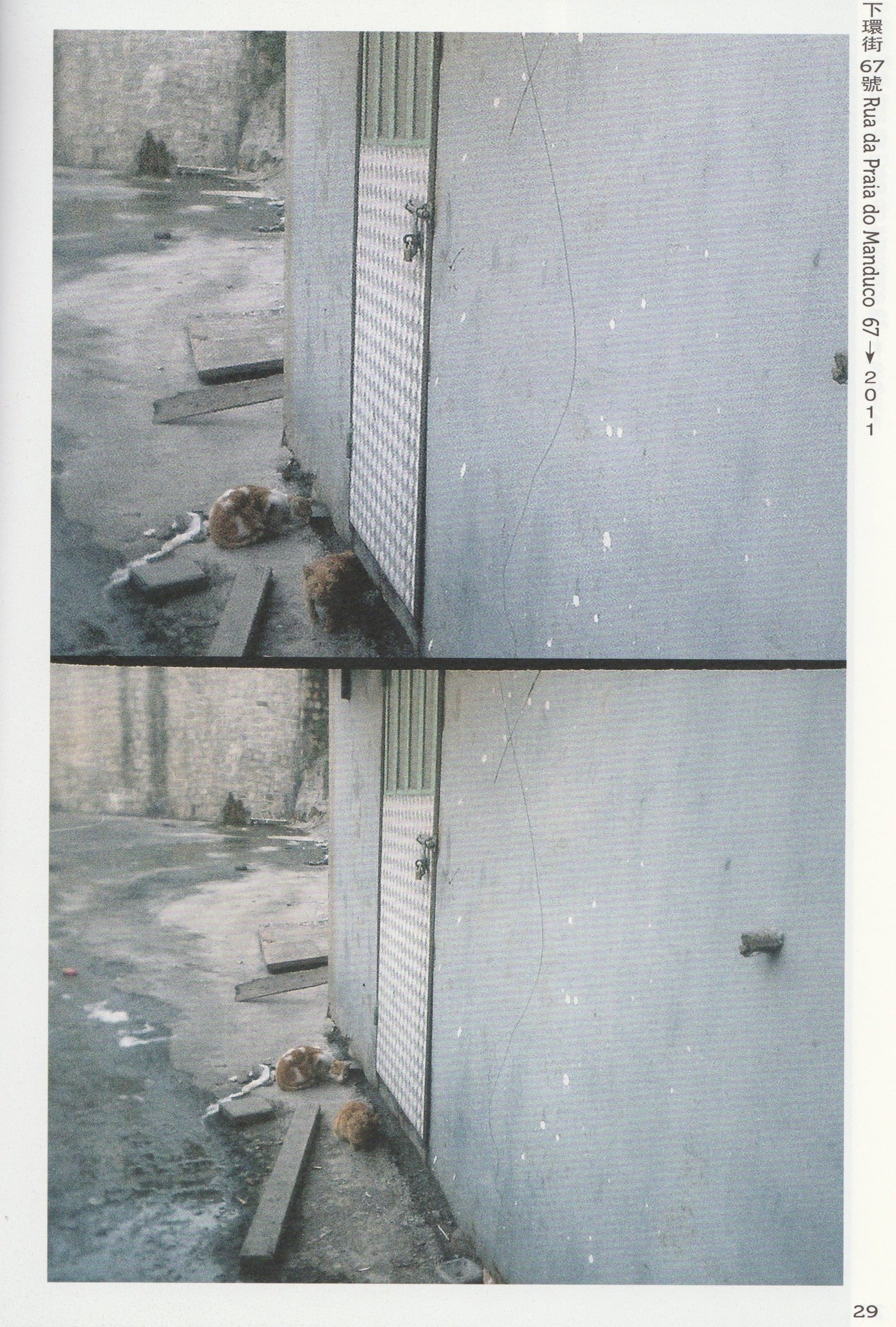 我不知道還能為下環街做什麼